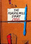 adrianmolediarykit-diary