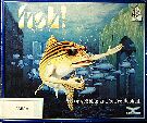Fish! (Amiga) (Contains Amstrad version)