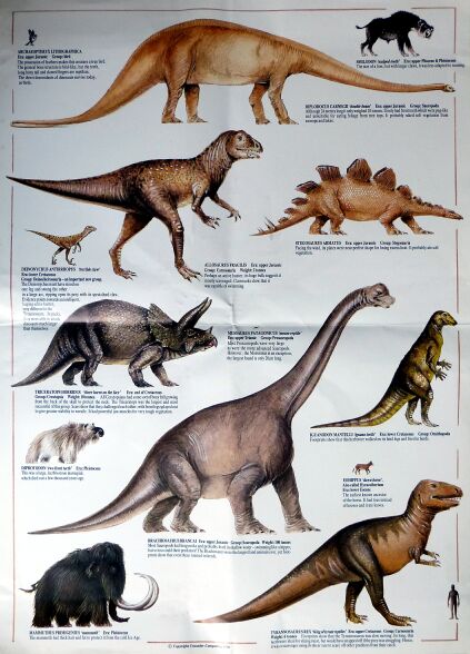 prehistoric-poster