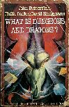 What is Dungeons and Dragons? (Puffin)